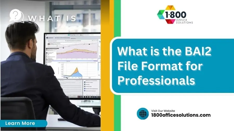 What is the BAI2 File Format for Professionals